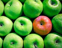 Select the Best Company for Your Business Needs